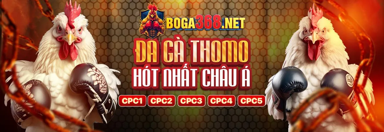 Đấu trường đá gà trực tuyến soso66 nhà cái