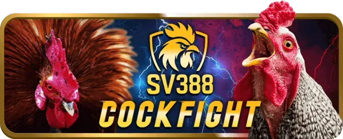Khuyến mãi VIP soso66 nhà cái